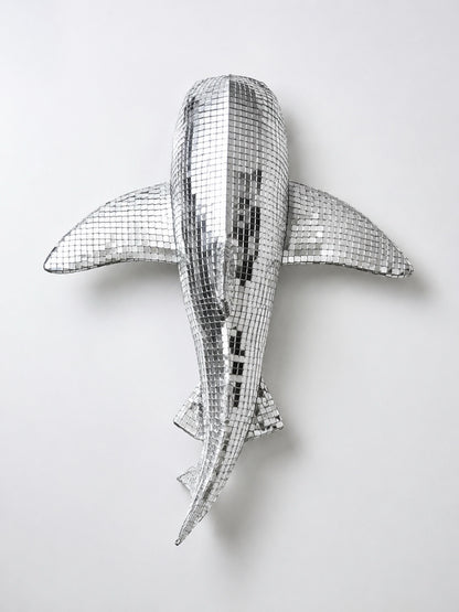 The Mirrorball
